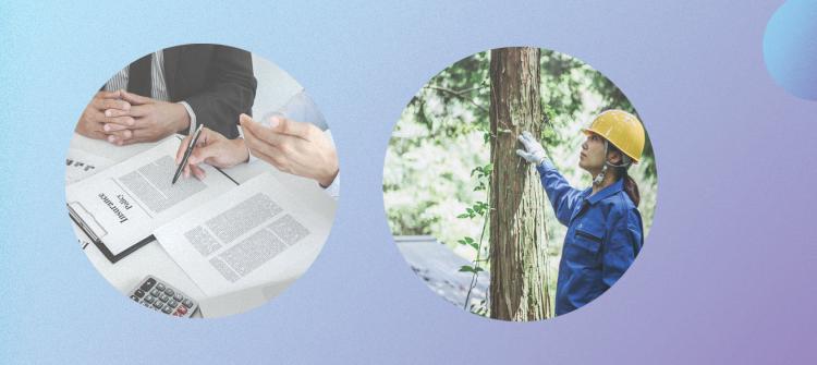 Leveraging Copernicus data and benefiting from the support of EUSPA, companies like AXA Climate are developing parametric insurance models for the forestry segment.
